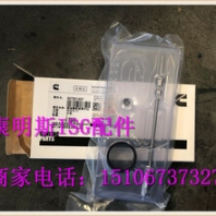 QSM液压泵齿轮3161567/3028422中国西南地区康明斯